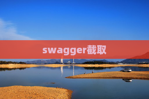 swagger截取